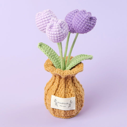 Handmade Crochet Miniature Plants Set – Perfect Desk Decor & Gift