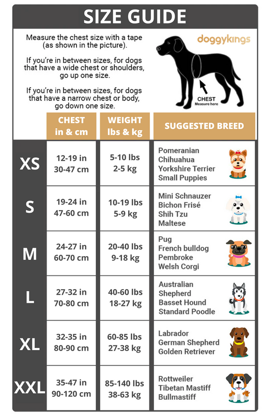 Ultimate Personalized No Pull Dog Harness