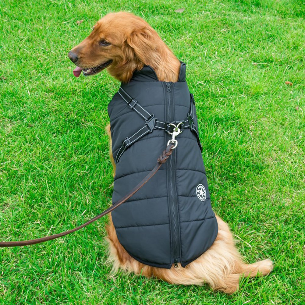 Waterproof Winter Jacket with Built-in Harness - Buy 2 Pcs Enjoy Free Shipping!