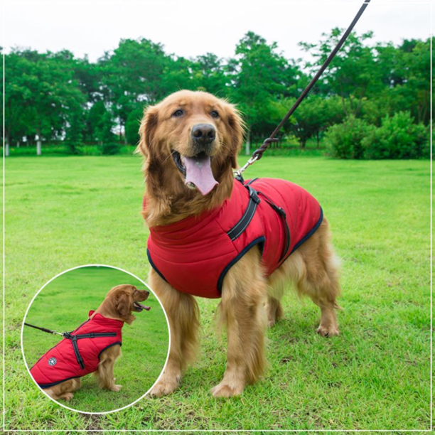 Waterproof Winter Jacket with Built-in Harness - Buy 2 Pcs Enjoy Free Shipping!