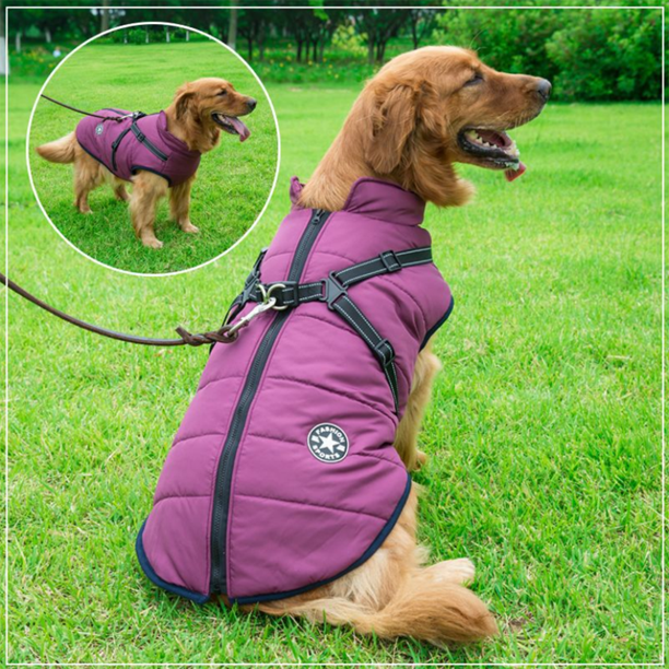 Waterproof Winter Jacket with Built-in Harness - Buy 2 Pcs Enjoy Free Shipping!