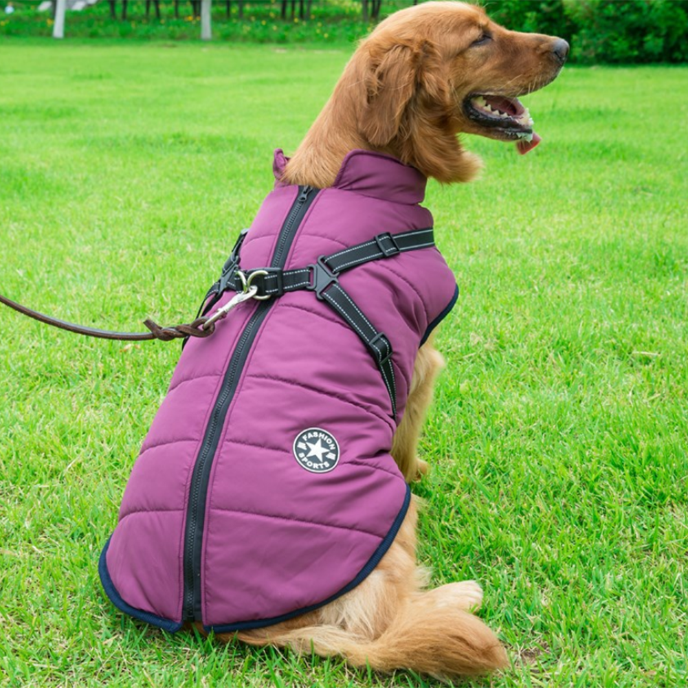 Waterproof Winter Jacket with Built-in Harness - Buy 2 Pcs Enjoy Free Shipping!