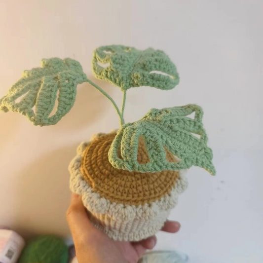 Handmade Crochet Miniature Plants Set – Perfect Desk Decor & Gift