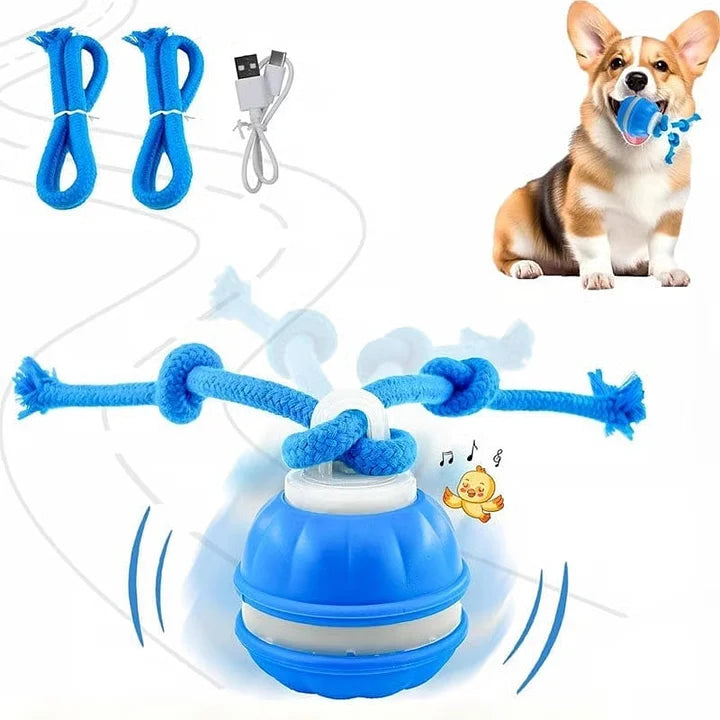 7 Reasons Why This Smart Interactive Ball Is Helping Dogs Everywhere Live Their Best Lives