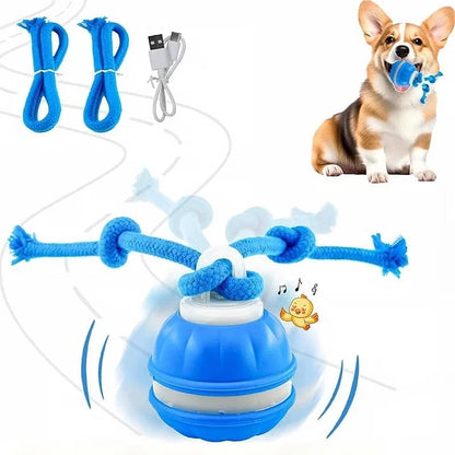 7 Reasons Why This Smart Interactive Ball Is Helping Dogs Everywhere Live Their Best Lives