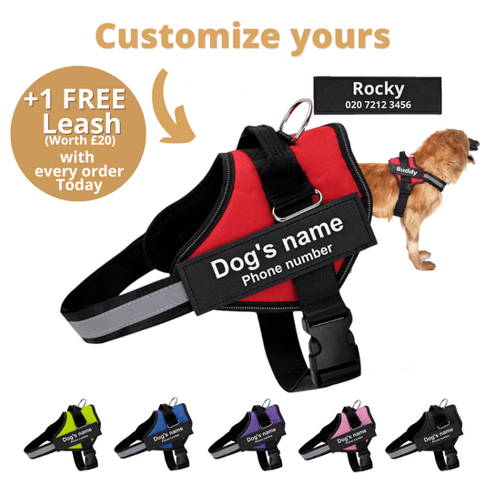 Ultimate Personalized No Pull Dog Harness