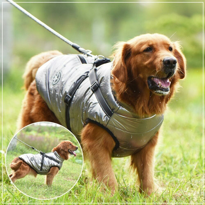 Waterproof Winter Jacket with Built-in Harness - Buy 2 Pcs Enjoy Free Shipping!