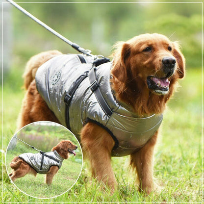 Waterproof Winter Jacket with Built-in Harness - Buy 2 Pcs Enjoy Free Shipping!