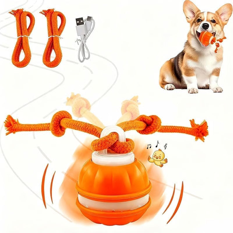 7 Reasons Why This Smart Interactive Ball Is Helping Dogs Everywhere Live Their Best Lives