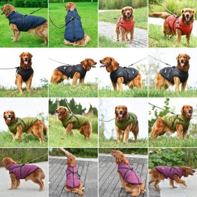 Waterproof Winter Jacket with Built-in Harness - Buy 2 Pcs Enjoy Free Shipping!