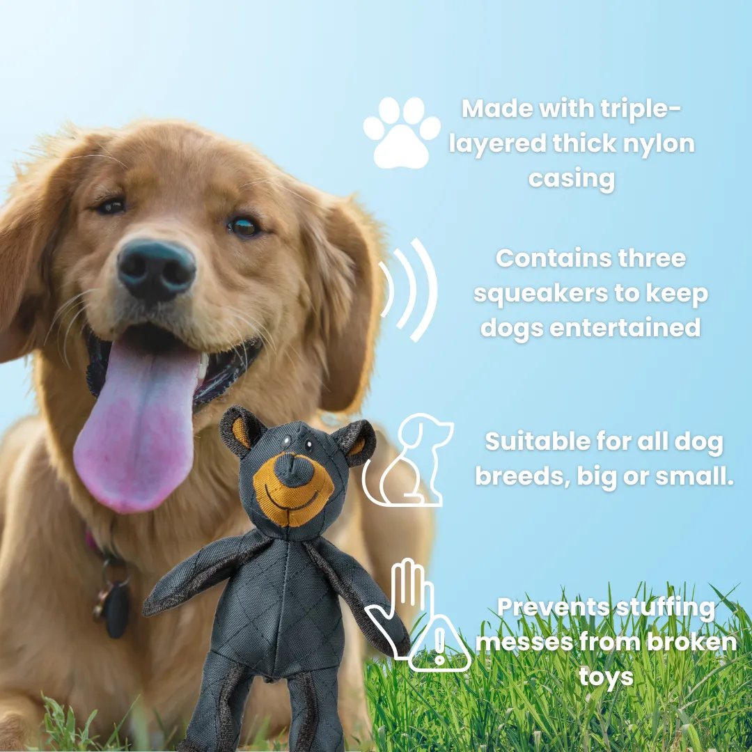 Bear Dog Toy for Dogs, New Robust Bear Dog Toy, Resistant Squeaky Dog Toys for Pets