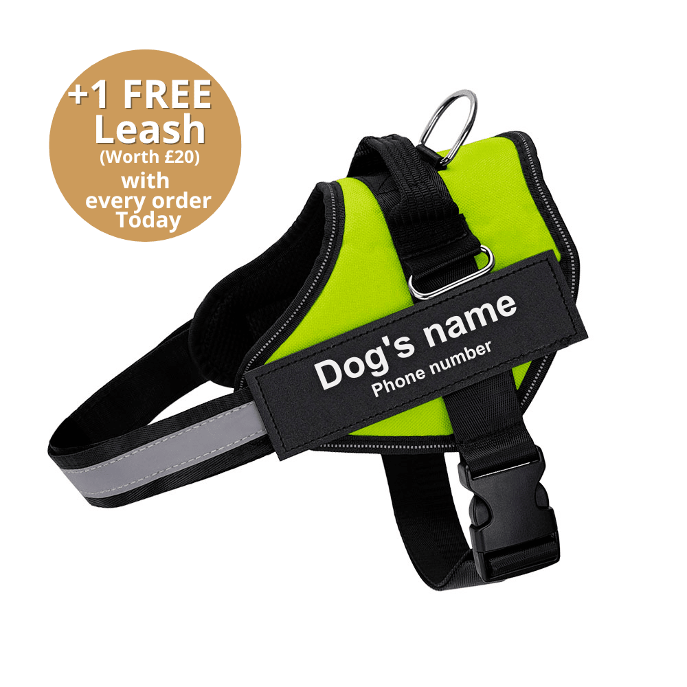 Ultimate Personalized No Pull Dog Harness