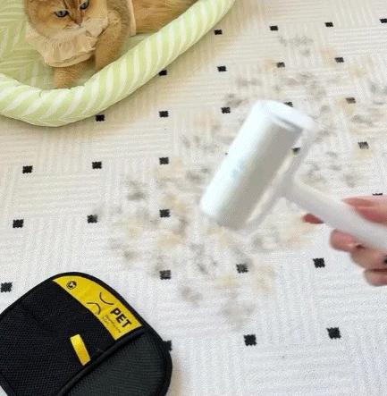 3 in 1 Magic Brush