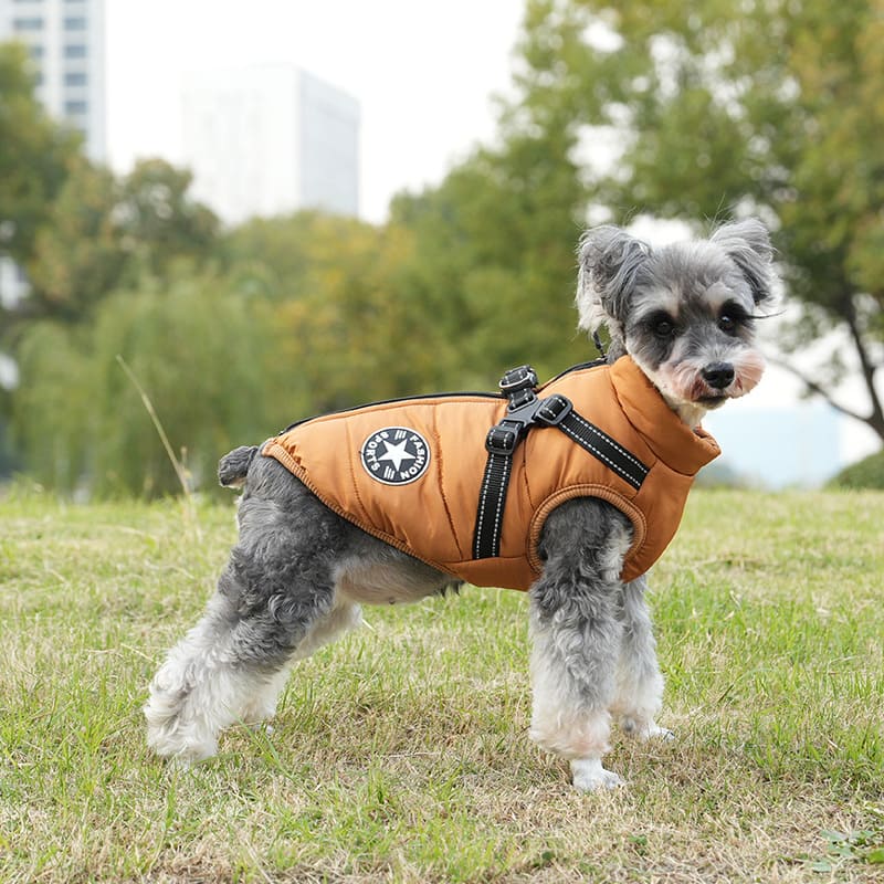Waterproof Winter Jacket with Built-in Harness - Buy 2 Pcs Enjoy Free Shipping!