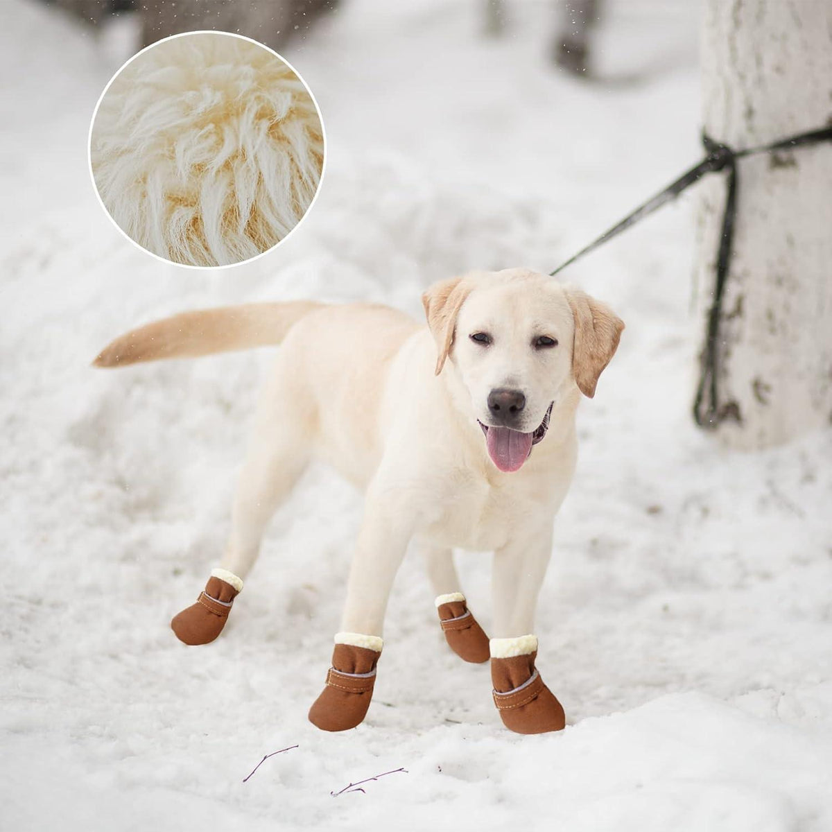 Warm Winter Dog Boots – Anti-Slip Paw Protectors