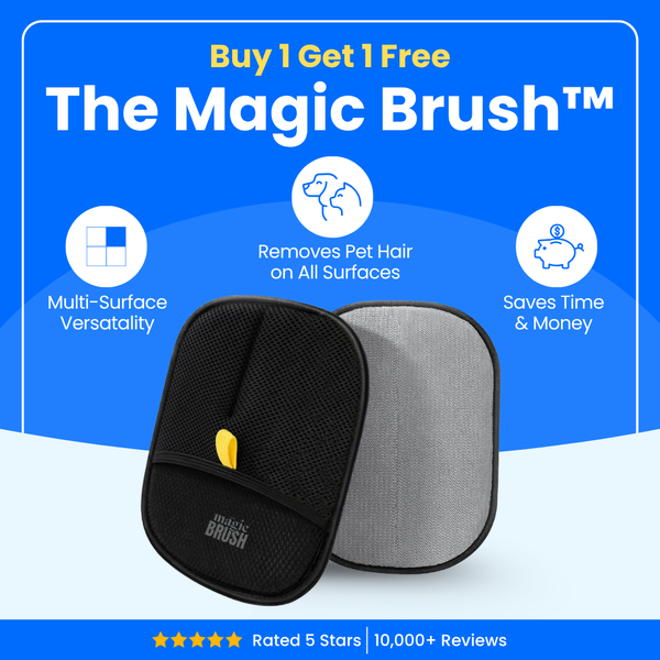 3 in 1 Magic Brush
