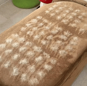 3 in 1 Magic Brush
