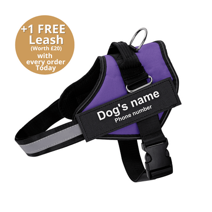 Ultimate Personalized No Pull Dog Harness