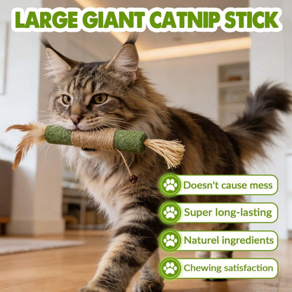 Giant Catnip Ball - Extra Large 10cm+ Jumbo Size For Cats