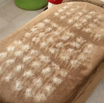 3 in 1 Magic Brush