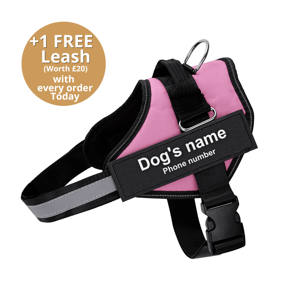 Ultimate Personalized No Pull Dog Harness