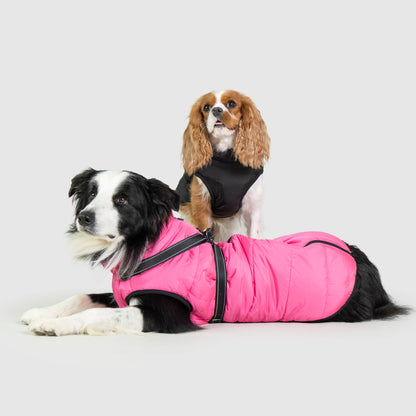 Waterproof Winter Jacket with Built-in Harness - Buy 2 Pcs Enjoy Free Shipping!