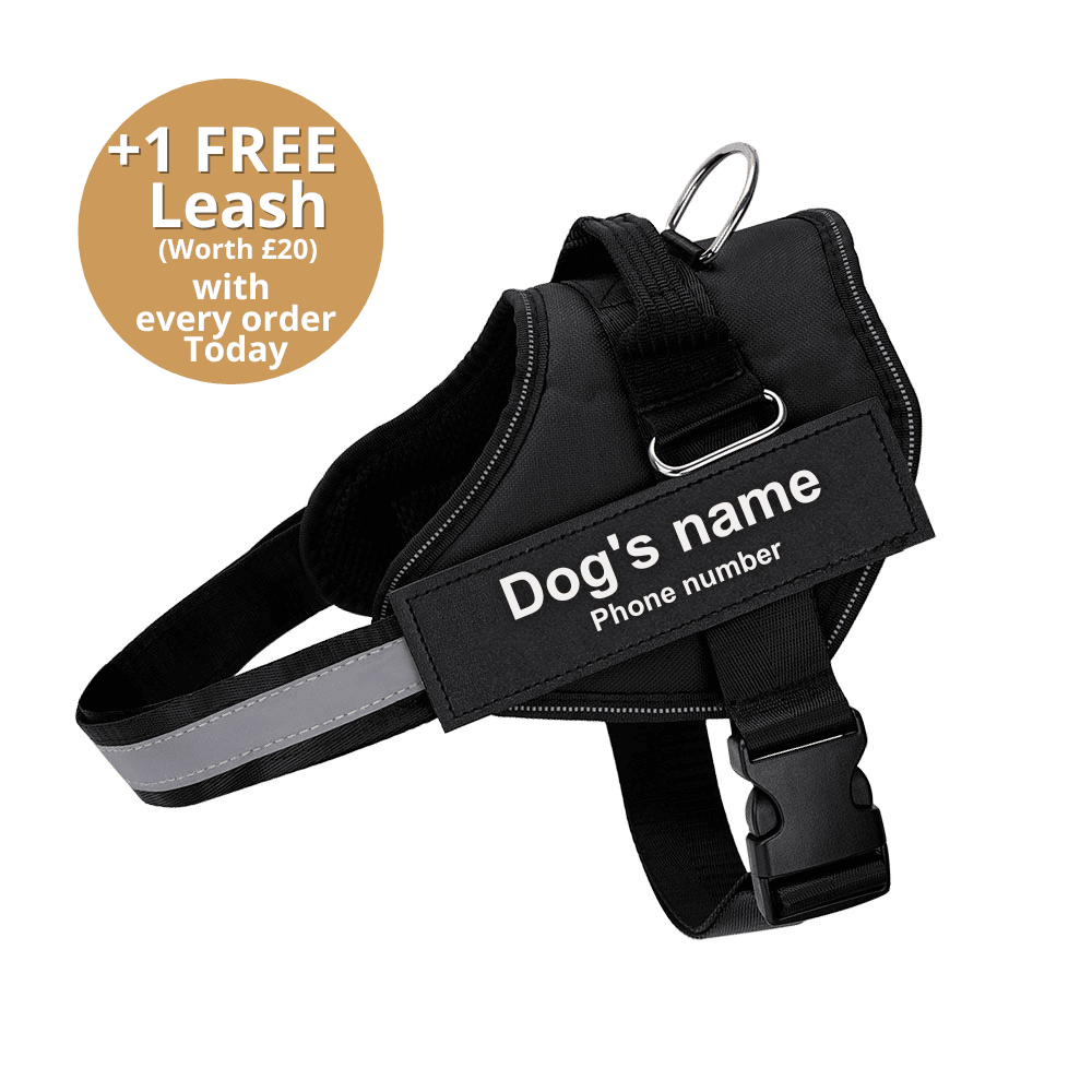 Ultimate Personalized No Pull Dog Harness