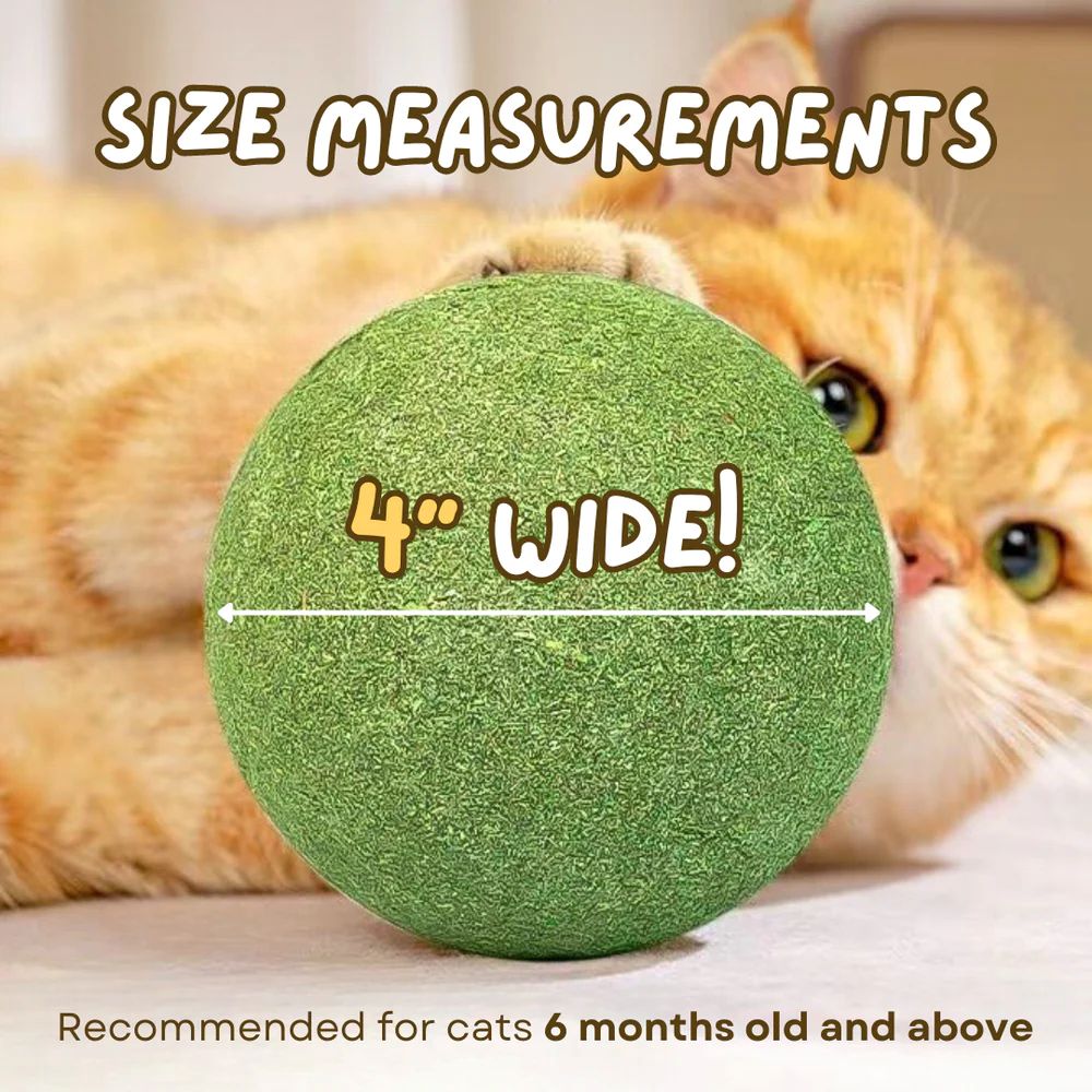 Giant Catnip Ball - Extra Large 10cm+ Jumbo Size For Cats