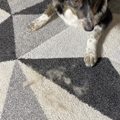 3 in 1 Magic Brush