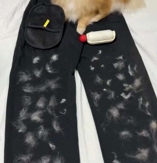 3 in 1 Magic Brush