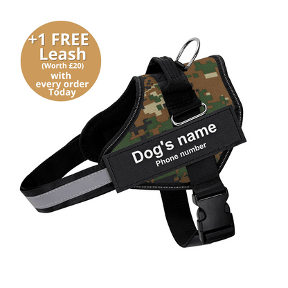 Ultimate Personalized No Pull Dog Harness