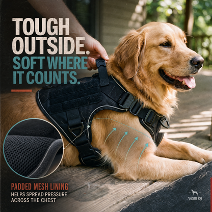 Tactical No-Pull Dog Harness (4 Metal Buckles)