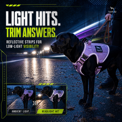 Tactical No-Pull Dog Harness (4 Metal Buckles)