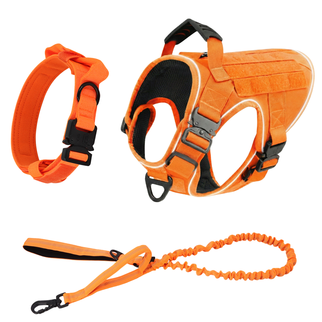 Tactical No-Pull Dog Harness (4 Metal Buckles)