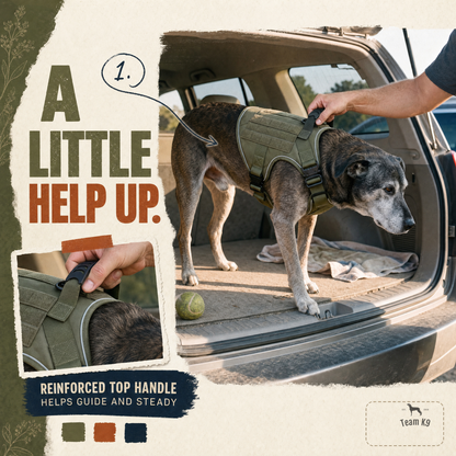 Tactical No-Pull Dog Harness (4 Metal Buckles)