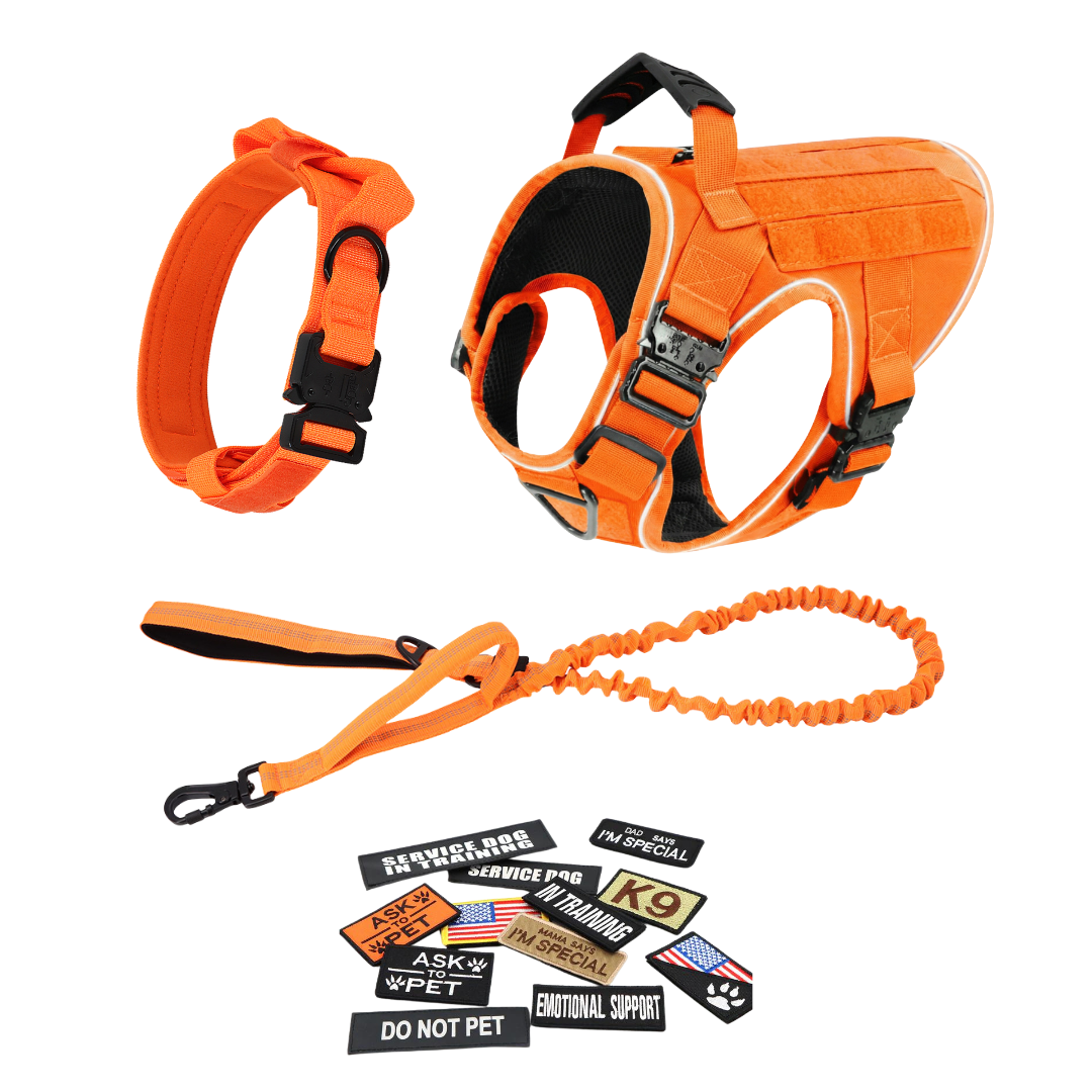 Tactical No-Pull Dog Harness (4 Metal Buckles)