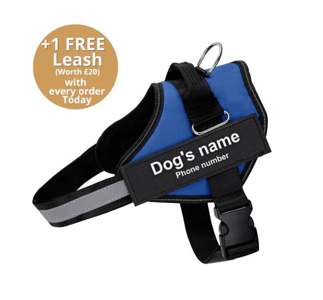 Ultimate Personalized No Pull Dog Harness