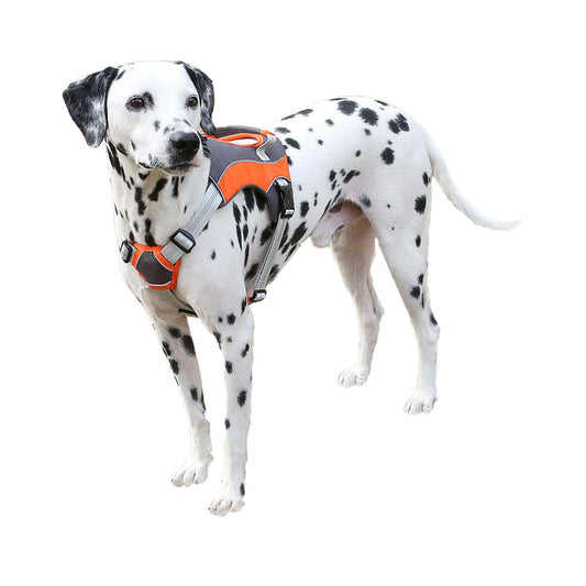 Easy Walk No Pull Dog Harness