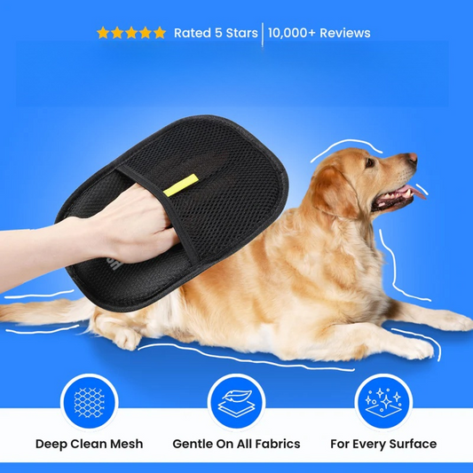 3 in 1 Magic Brush