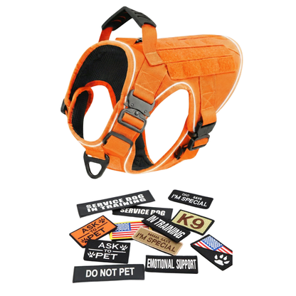 Tactical No-Pull Dog Harness (4 Metal Buckles)