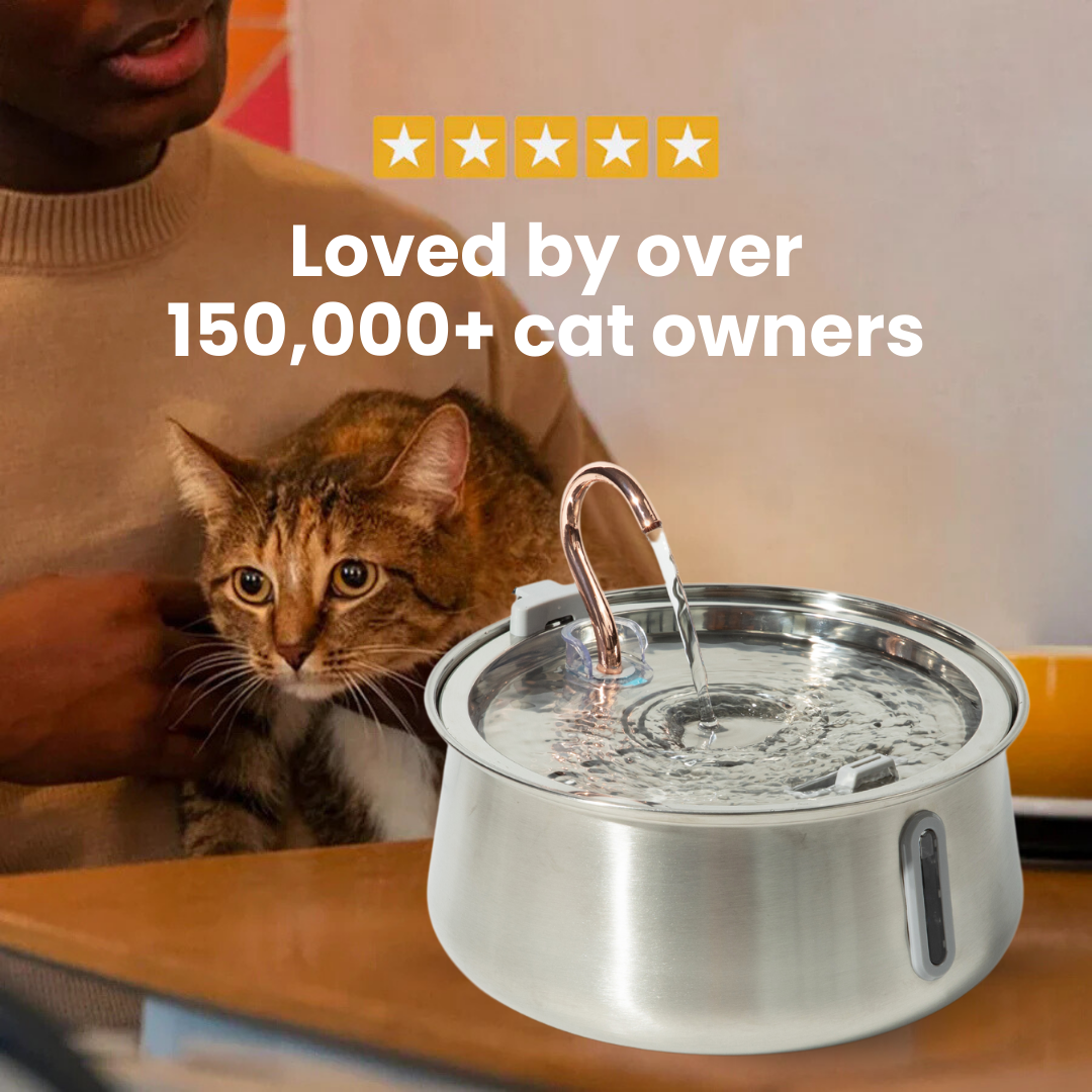 Lazyfuzzy Health & Happiness Cat Kit