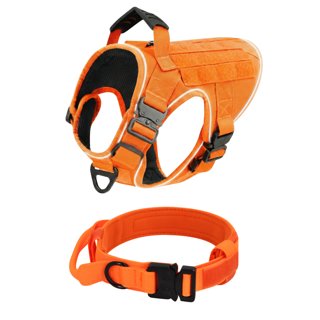Tactical No-Pull Dog Harness (4 Metal Buckles)
