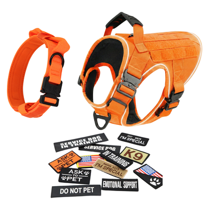 Tactical No-Pull Dog Harness (4 Metal Buckles)