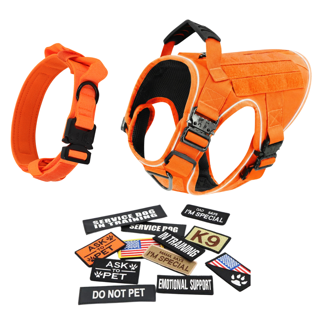 Tactical No-Pull Dog Harness (4 Metal Buckles)