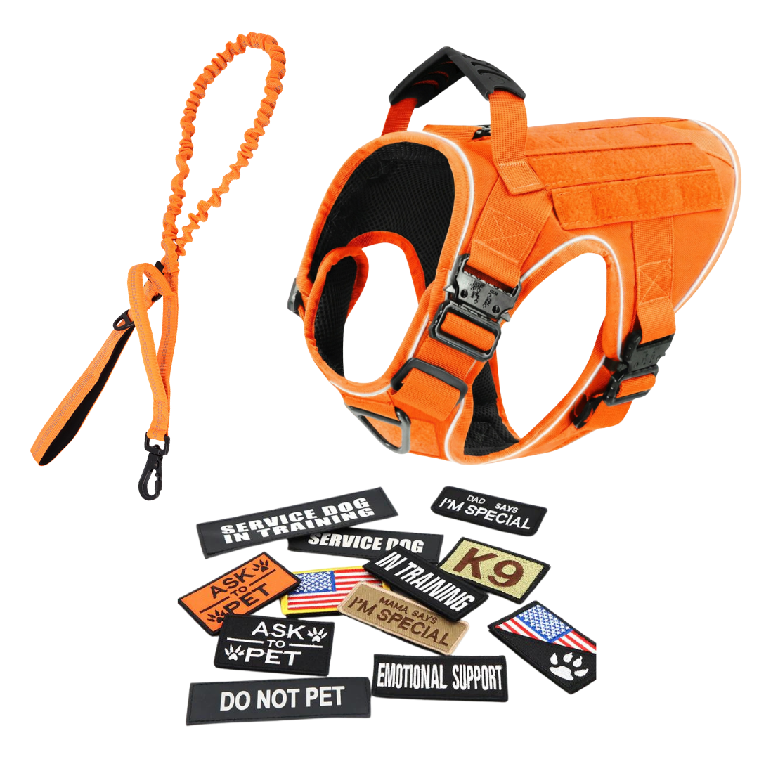 Tactical No-Pull Dog Harness (4 Metal Buckles)