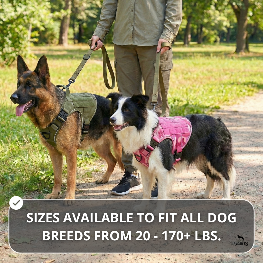 Tactical No-Pull Dog Harness (4 Metal Buckles)