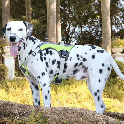 Easy Walk No Pull Dog Harness