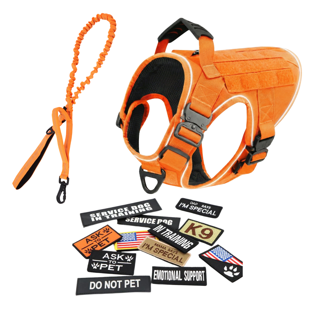 Tactical No-Pull Dog Harness (4 Metal Buckles)