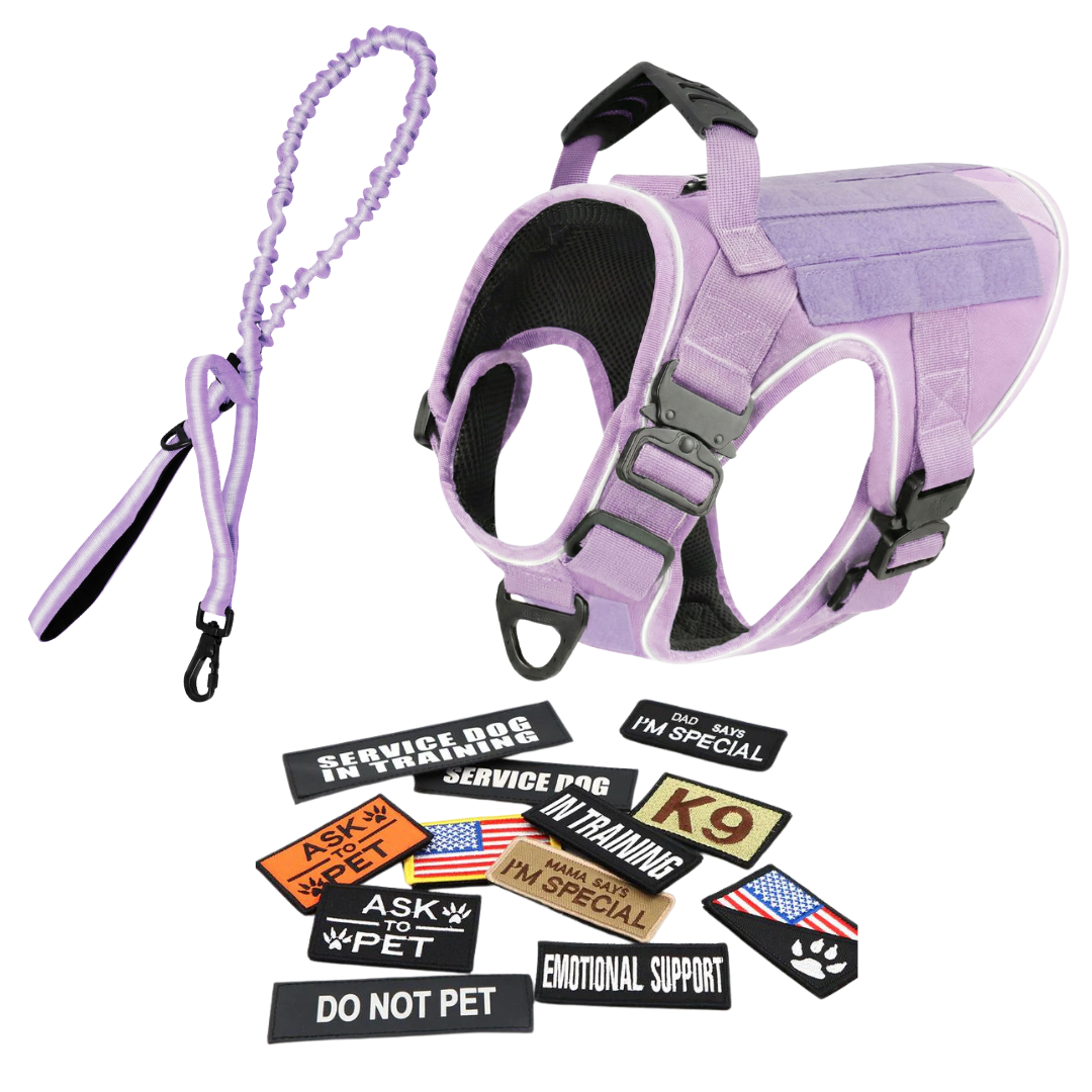 Tactical No-Pull Dog Harness (4 Metal Buckles)