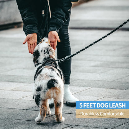 Easy Grip Ergonomic Leash